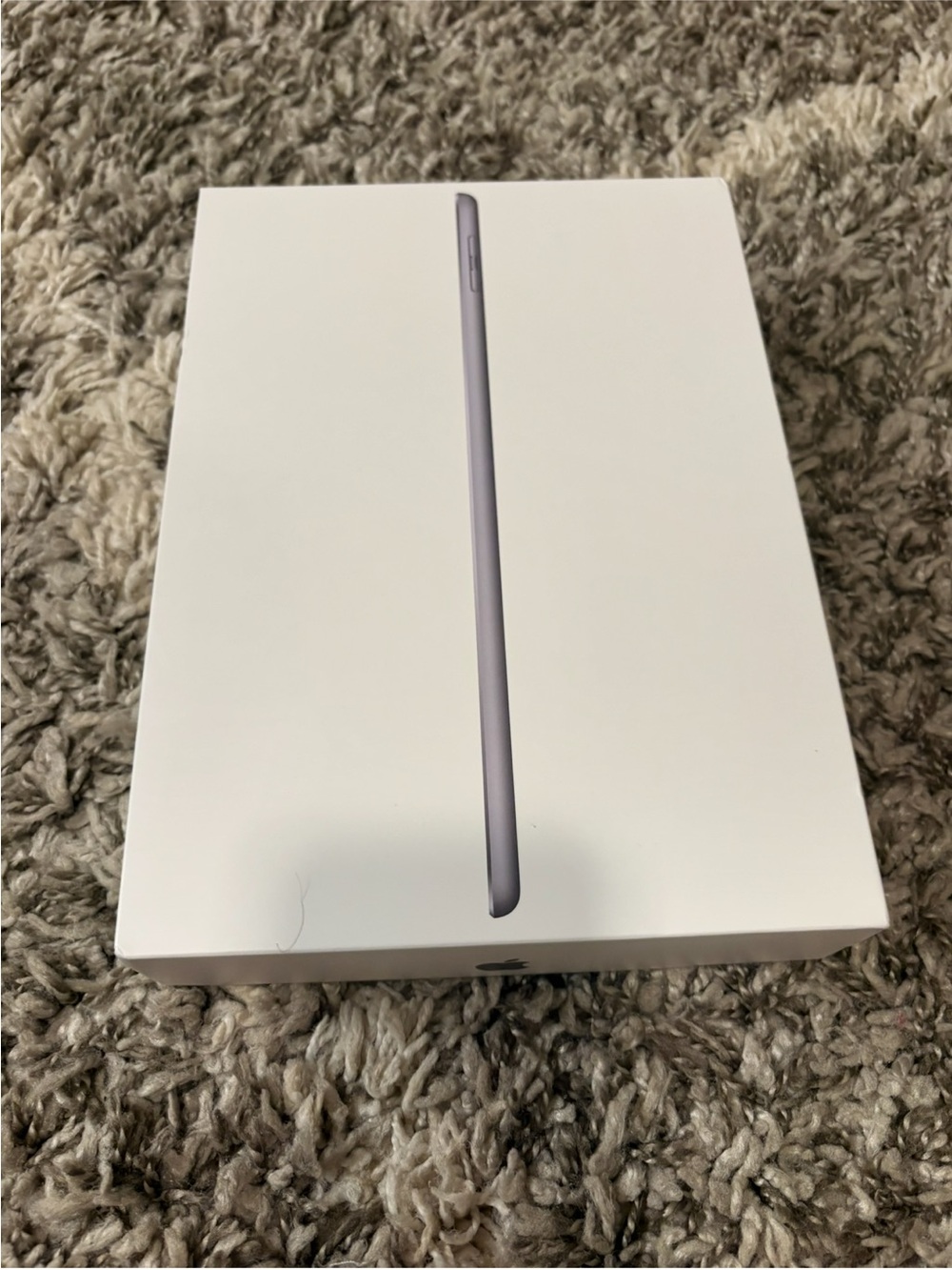 Apple iPad 6th Generation 32GB Wi-Fi - White - Box Included No charger